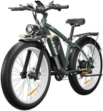 electric bike