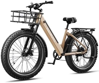 electric bike