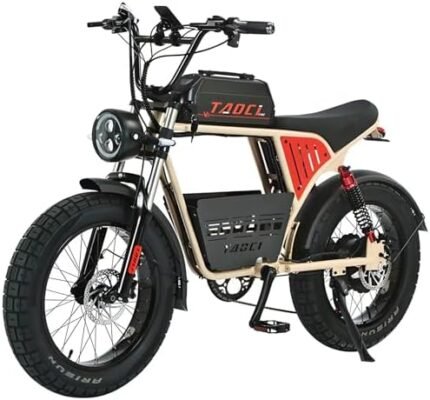 electric bike