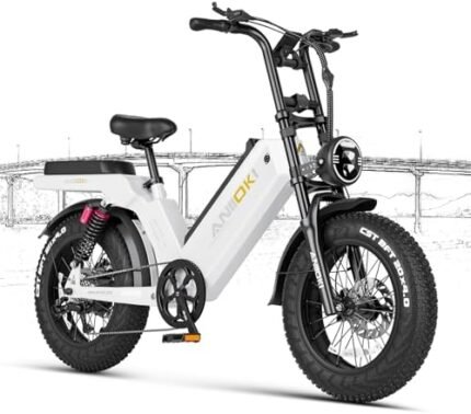 electric bike