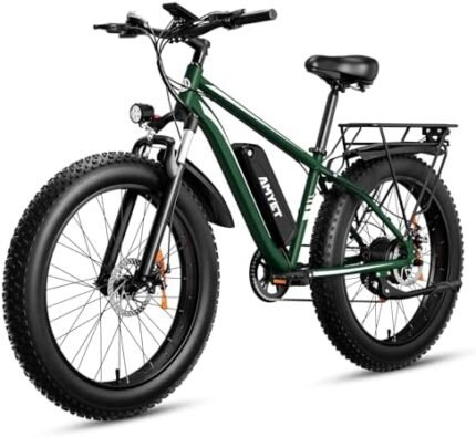 electric bike