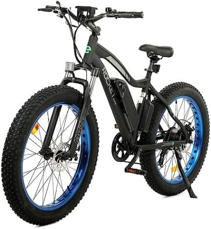 electric bike