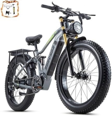 electric bike