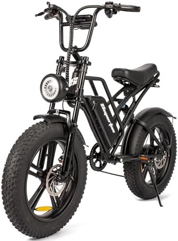 electric bike