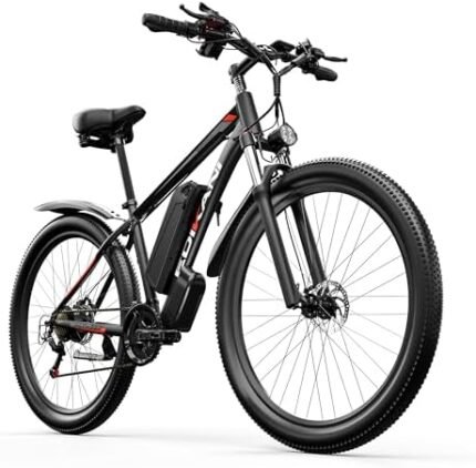 electric bike