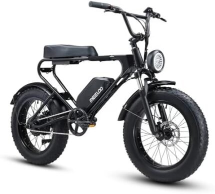 electric bike