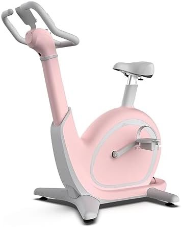 Exercise Bikes