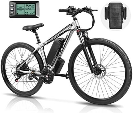 electric bike