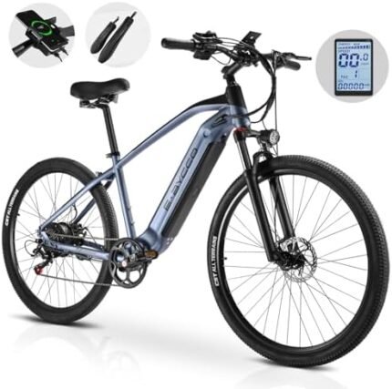 electric bike