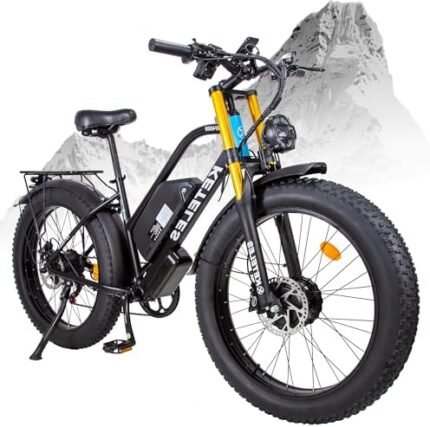 electric bike