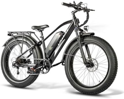 electric bike