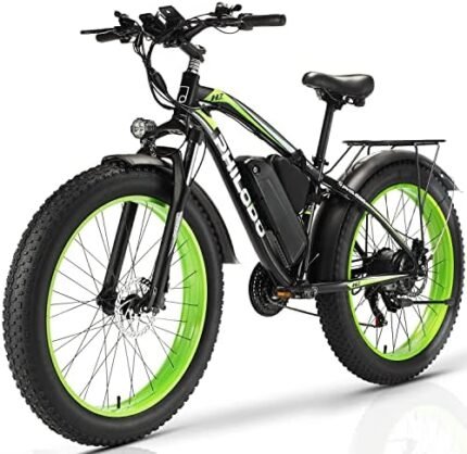 electric bike