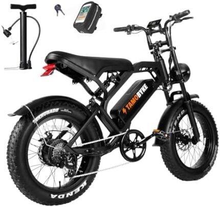 electric bike