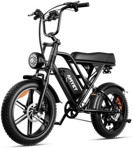 electric bike